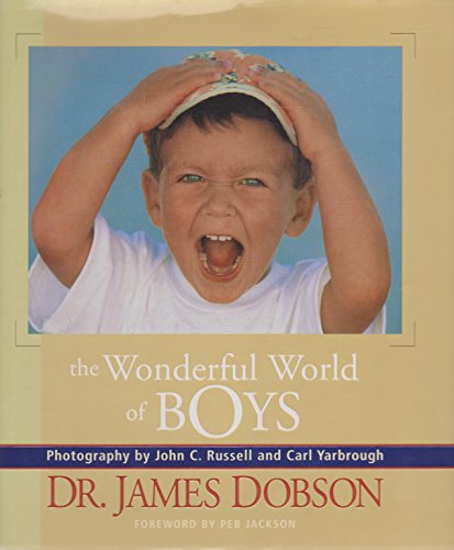 Beispielbild fr The Wonderful World of Boys zum Verkauf von Better World Books