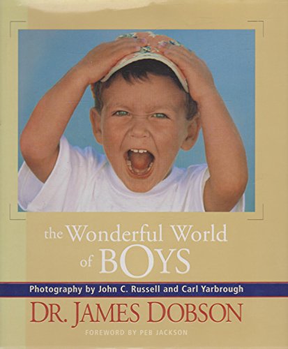 Stock image for The Wonderful World of Boys for sale by Gulf Coast Books