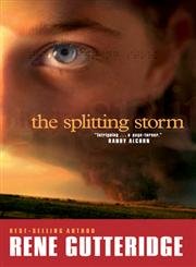 Stock image for The Splitting Storm (The Storm Series #1) for sale by Your Online Bookstore