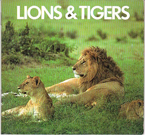Beispielbild fr Animal Info:lions/tig zum Verkauf von Wonder Book