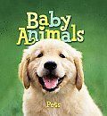 Imagen de archivo de Baby Animals (Animal Information Series) a la venta por Wonder Book