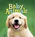 9780843115123: Baby Animals