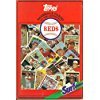 Beispielbild fr Cincinnati Reds zum Verkauf von ThriftBooks-Dallas