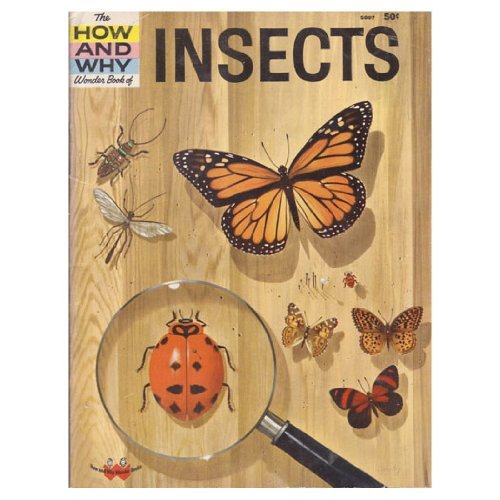 Stock image for Hw Insects for sale by ThriftBooks-Atlanta