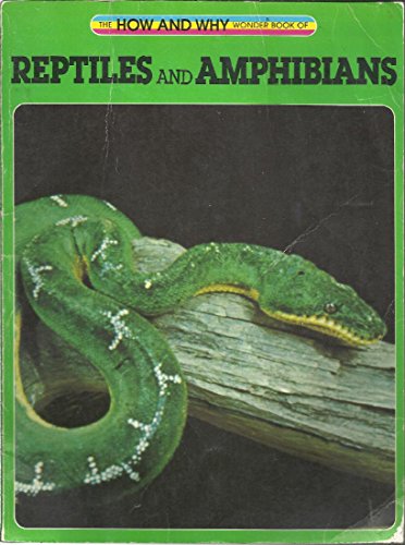 Imagen de archivo de Hw Reptiles (How and Why Wonder Book) a la venta por Wonder Book