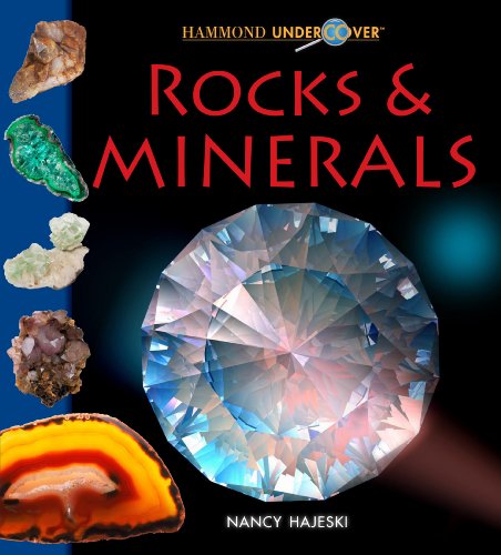 Beispielbild fr Rocks & Minerals zum Verkauf von ThriftBooks-Atlanta