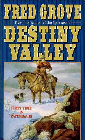 Imagen de archivo de Destiny Valley a la venta por Wonder Book