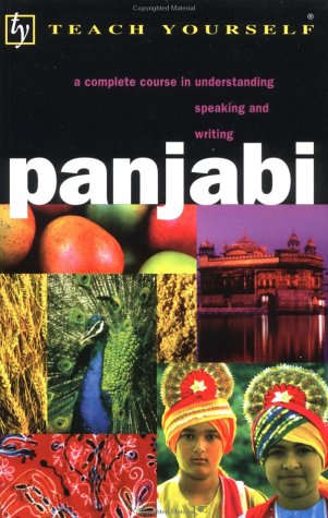 9780844205632: Panjabi: A Complete Course in Understanding Speaking and Writing (Teach Yourself)