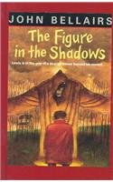 9780844670096: The Figure in the Shadows