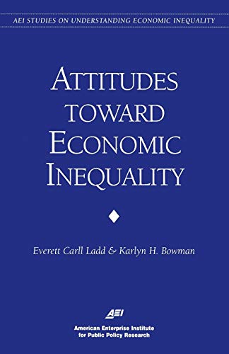 Imagen de archivo de Public Attitudes on Economic Inequality (AEI Studies on Understanding Economic Inequality) a la venta por Revaluation Books