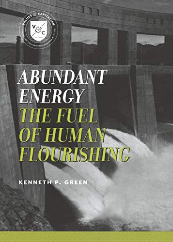 Beispielbild fr Abundant Energy : The Fuel of Human Flourishing zum Verkauf von Better World Books