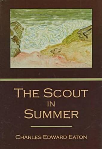 Imagen de archivo de The Scout in Summer a la venta por Bookmans
