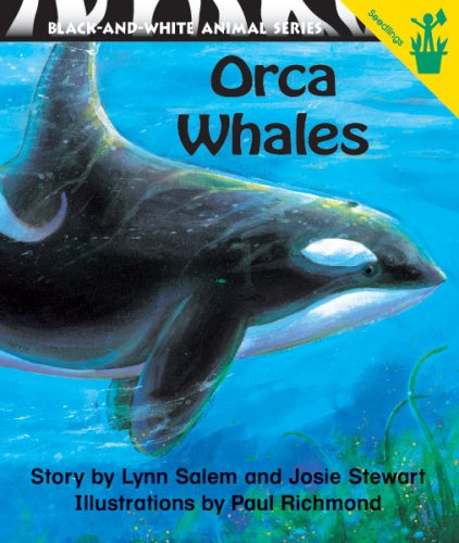 Imagen de archivo de Early Reader: Orca Whales a la venta por ThriftBooks-Dallas