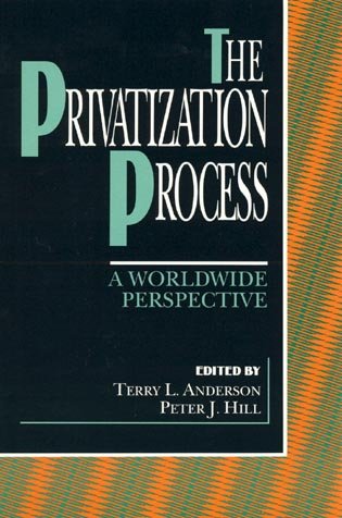 9780847681860: The Privatization Process: A Worldwide Perspective