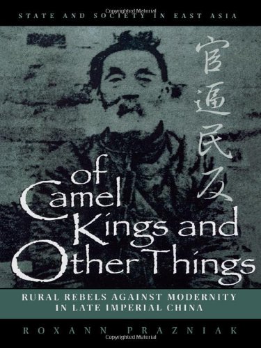 Stock image for Of Camel Kings and Other Things : Rural Rebels Against Modernity in Late Imperial China for sale by Better World Books