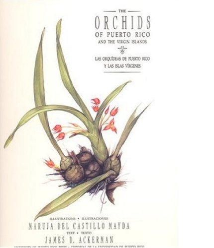 Imagen de archivo de The Orchids of Puerto Rico and the Virgin Islands / Las Orquideas De Puerto Rico Y Las Islas Virgenes (English and Spanish Edition) a la venta por Gavin's Books