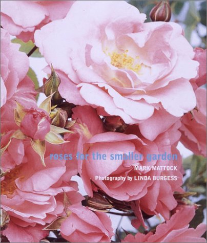 Beispielbild für Roses for the Smaller Garden zum Verkauf von Better World Books