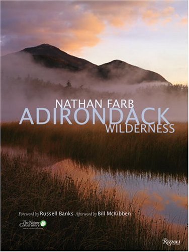 Imagen de archivo de Adirondack: Wilderness a la venta por Nelsons Books
