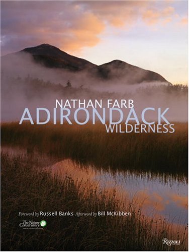 Stock image for Adirondack: Wilderness for sale by Nelsons Books