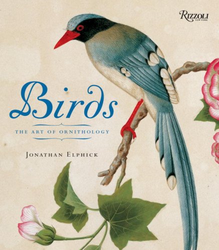 Stock image for Birds: Mini Edition: The Art of Ornithology for sale by Weird Books