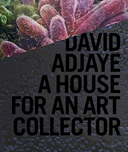 Imagen de archivo de David Adjaye: A House for an Art Collector a la venta por ThriftBooks-Atlanta