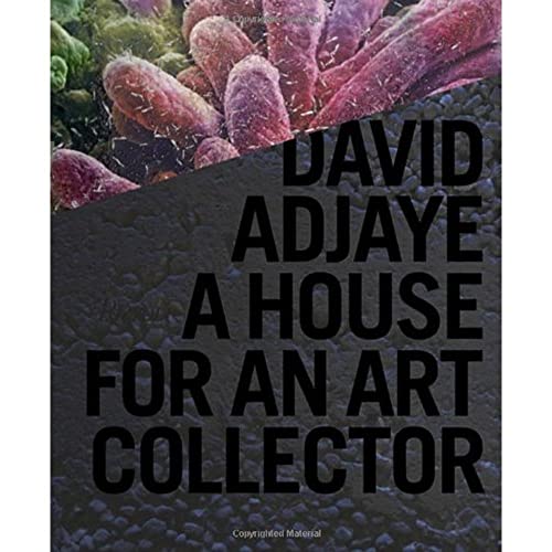 David Adjaye: A House for an Art Collector (9780847835089) by Adjaye, David; Lindemann, Adam; Allison, Peter
