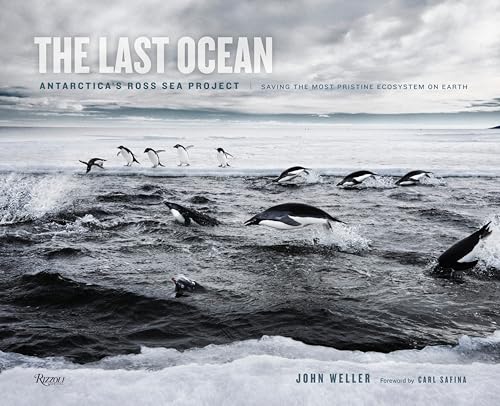 9780847841233: The Last Ocean: Antarctica's Ross Sea Project: Saving the Most Pristine Ecosystem on Earth