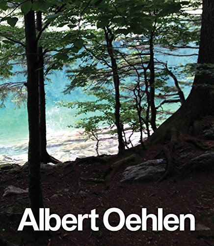 9780847845620: Albert Oehlen: New Paintings
