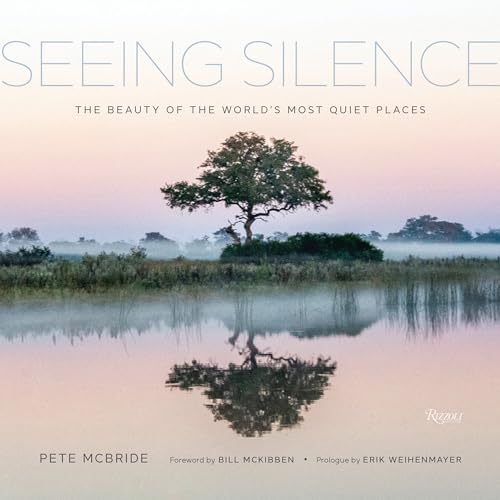 Stock image for Seeing Silence: The Beauty of the World  s Most Quiet Places for sale by BooksRun