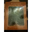 Beispielbild fr Plantations of the Old South zum Verkauf von Better World Books