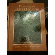 Stock image for Plantations of the Old South for sale by ThriftBooks-Dallas