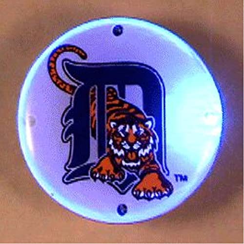 9780848815783: Detroit Tigers