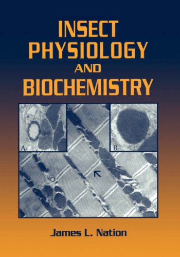 Imagen de archivo de Insect Physiology and Biochemistry a la venta por Phatpocket Limited