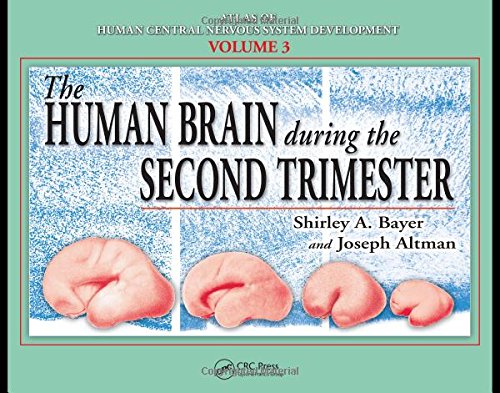 9780849314223: The Human Brain During the Second Trimester: Volume 4