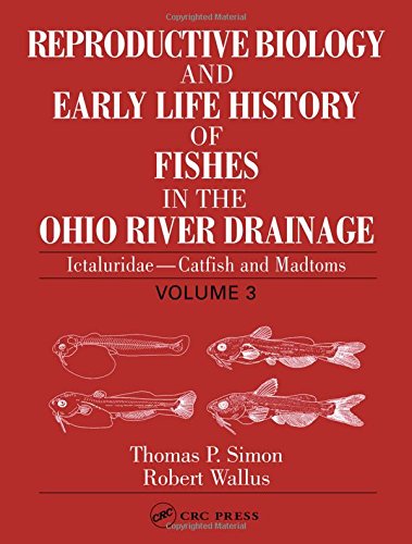 Stock image for Reproductive Biology and Early Life History of Fishes in the Ohio River Drainage, Vol. 3: Ictaluridae - Catfish and Madtoms for sale by HPB-Red