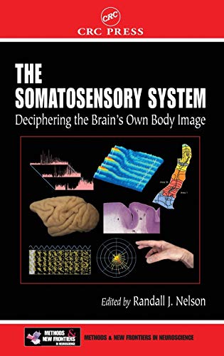 9780849323362: The Somatosensory System: Deciphering the Brain's Own Body Image