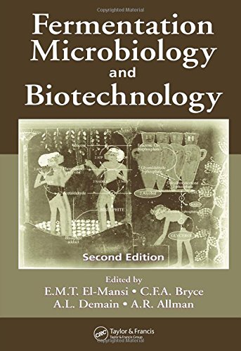 Imagen de archivo de Fermentation Microbiology and Biotechnology a la venta por Anybook.com