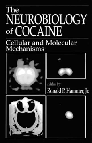 Stock image for The Neurobiology of Cocaine: Cellular and Molecular Mechanisms for sale by cornacres