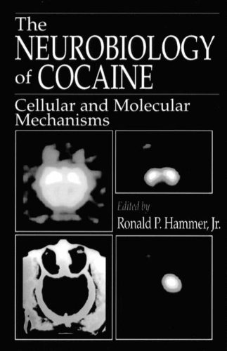 9780849383113: The Neurobiology of Cocaine: Cellular and Molecular Mechanisms