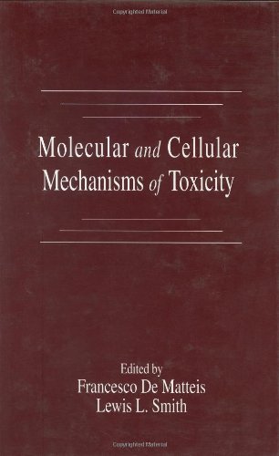 Beispielbild fr Molecular and Cellular Mechanisms of Toxicity zum Verkauf von Bookmonger.Ltd