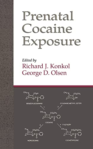 Beispielbild fr Prenatal Cocaine Exposure zum Verkauf von Chiron Media