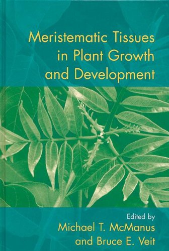 9780849397929: Meristematic Tissues in Plant Growth and Development (Sheffield Biological Siences)