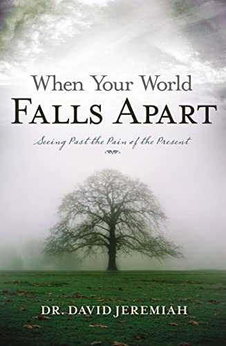 Stock image for When Your World Falls Apart Se for sale by SecondSale