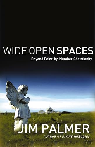 9780849913990: Wide Open Spaces: Beyond Paint: Beyond Paint-By-Number Christianity
