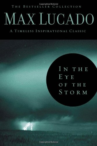 Beispielbild fr In the Eye of the Storm (Bestseller Collection) zum Verkauf von medimops