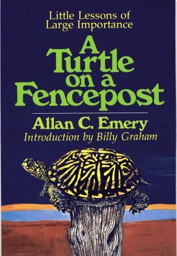 A Turtle on a Fencepost: Little Lessons of Large Importance - Allan C. Emery