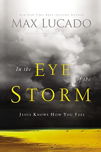 9780849947322: In the eye of the storm repackage: A Day in the Life of Jesus