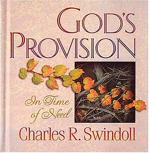 Beispielbild fr God's Provision in Time of Need zum Verkauf von SecondSale