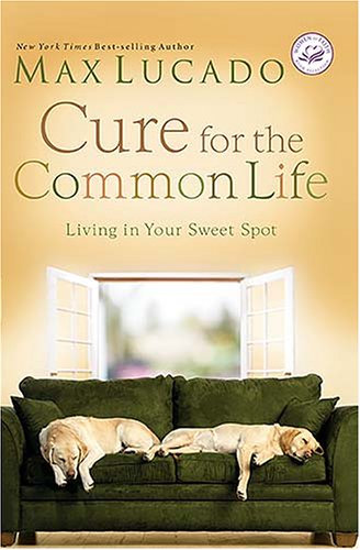 Stock image for Cure for the Common Life: Living in Your Sweet Spot: Women of Faith Special Edition for sale by SecondSale
