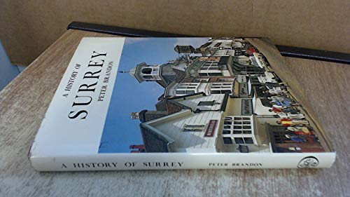 Beispielbild fr A History of Surrey (The Darwen county history series) zum Verkauf von WorldofBooks